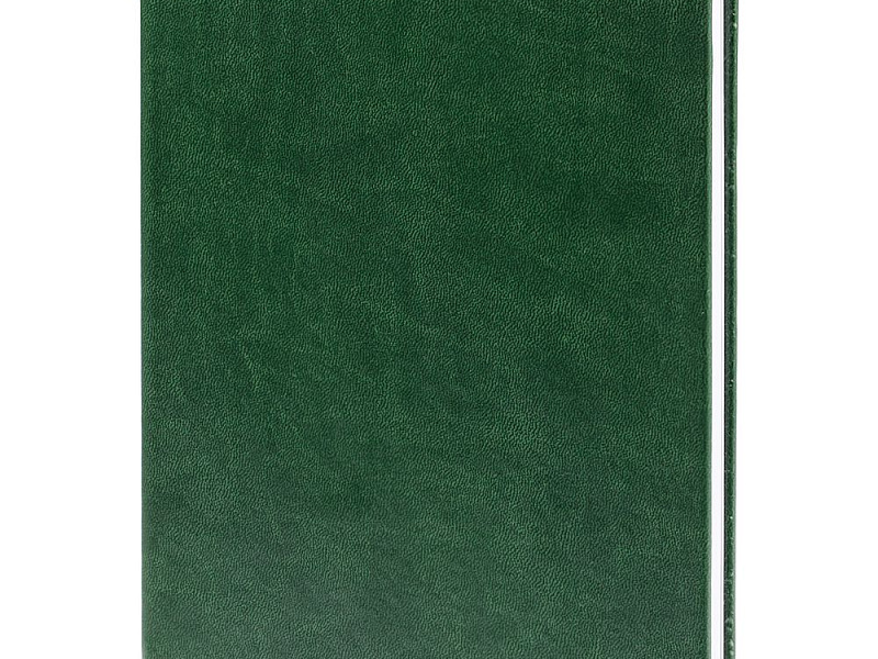 Ежедневник New Latte, недатированный, зеленый