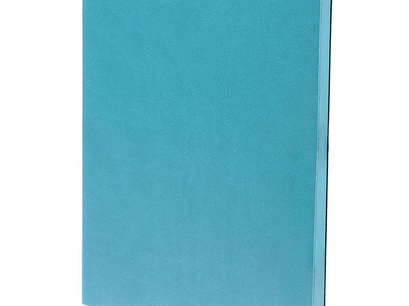 Ежедневник Fredo, недатированный, голубой