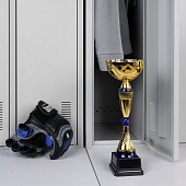Кубок Awardee, средний, синий