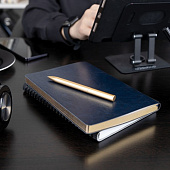 Ручка шариковая Superbia, золотистая