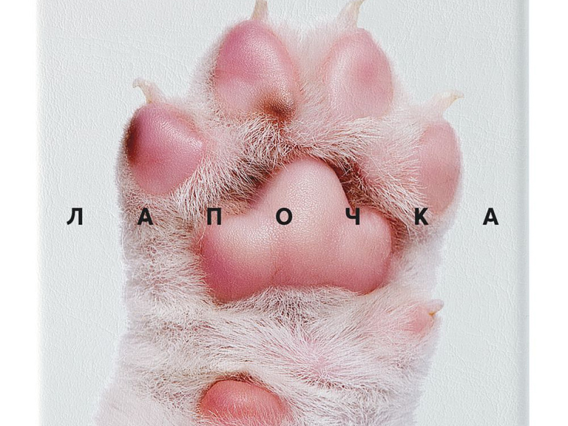 Зеркало «Лапочка», квадратное