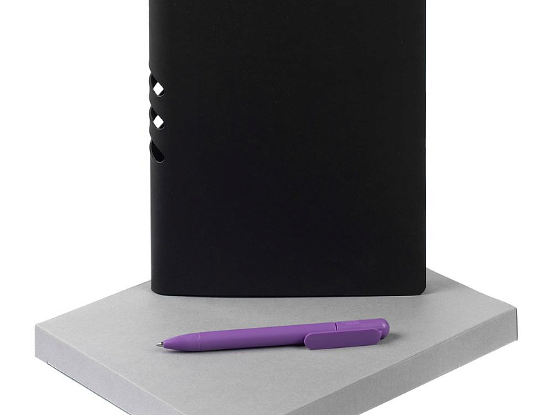 Набор Flexpen Shall, черно-фиолетовый