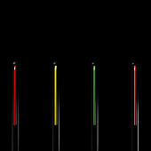 Шариковая ручка GrafeeX в чехле, черная с красным