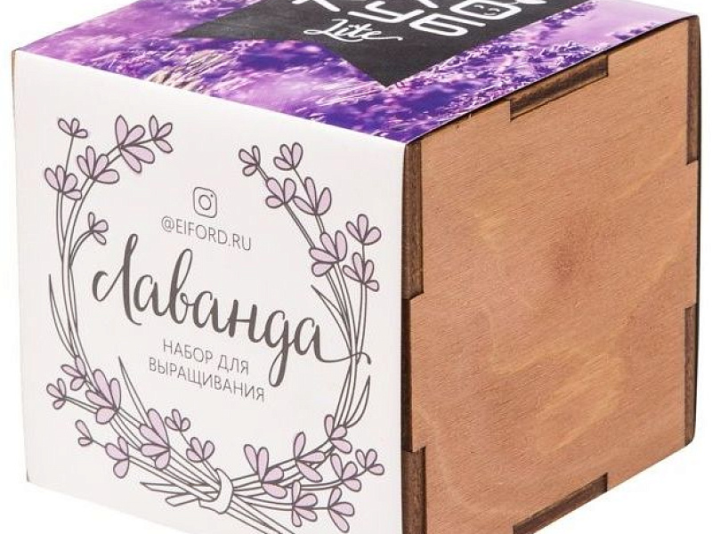 Набор для выращивания «Экокуб Lite», лаванда