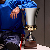 Кубок Erfolg, серебристый