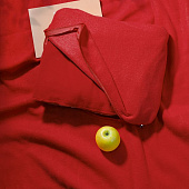 Дорожный плед-подушка Pathway 2, красный