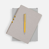 Набор Flexpen, серебристо-желтый