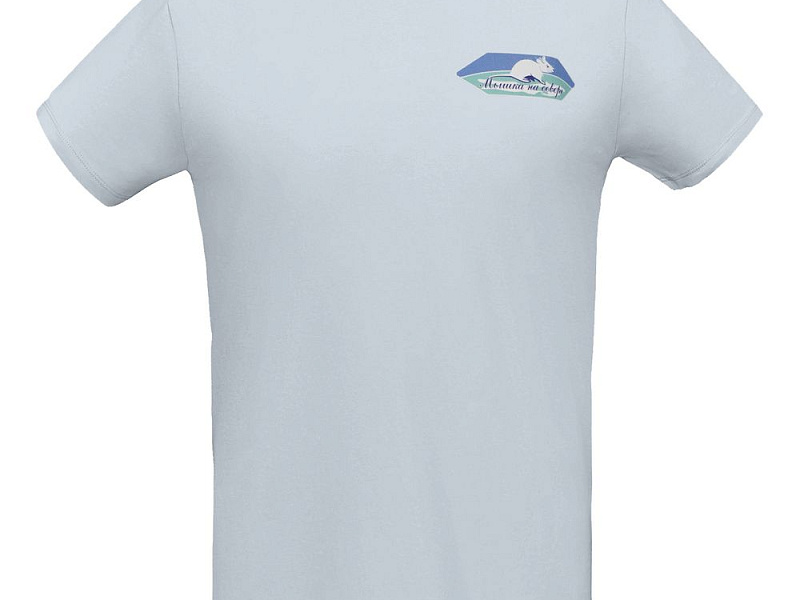 Футболка мужская «Мышка на севере», голубая