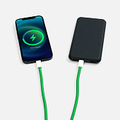 Кабель-ланьярд energyFlex Pro, зеленый