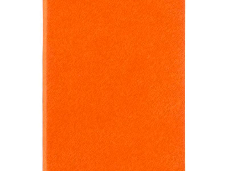 Ежедневник Flat Mini, недатированный, оранжевый