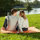 Плед для пикника Comfy, зеленый