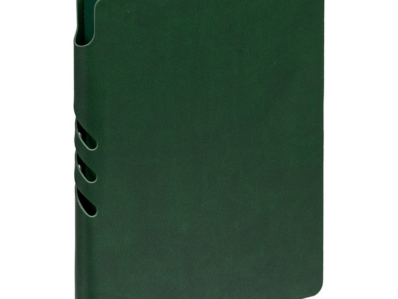Ежедневник Flexpen Color, датированный, зеленый