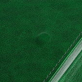 Ежедневник Flap на заказ, недатированный, зеленый