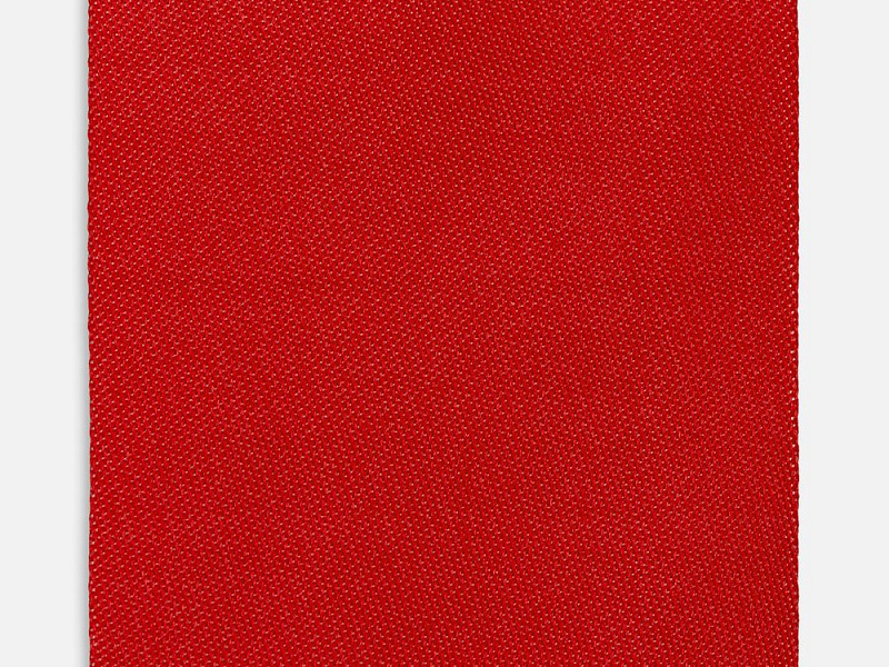 Лейбл тканевый Epsilon, L, красный