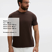 Футболка унисекс Regent 150, темно-коричневая (шоколад)