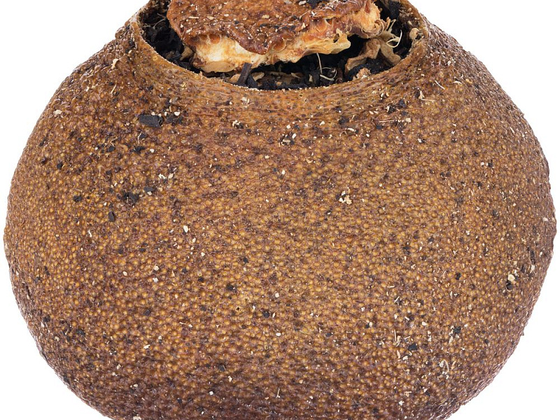 Черный чай Citrus в апельсине с маслом лайма