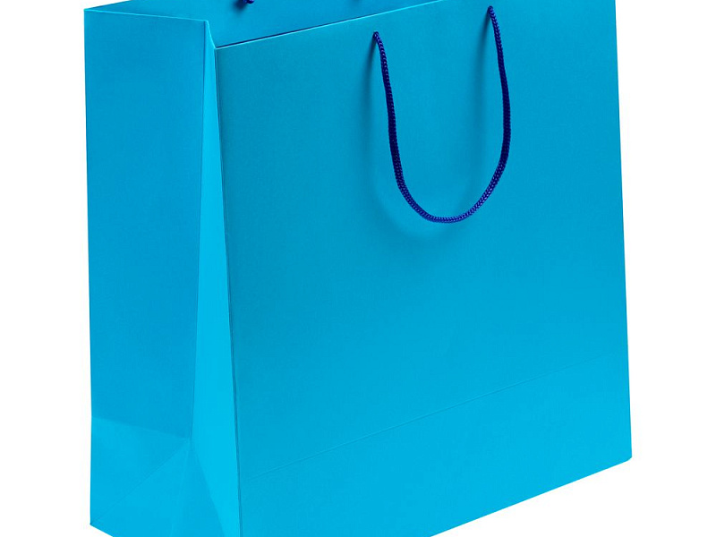 Пакет бумажный Porta L, голубой