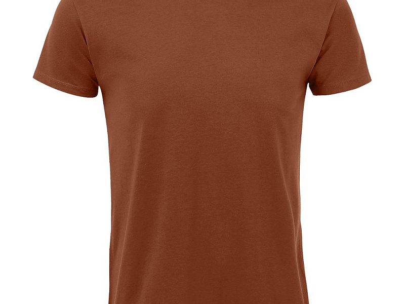 Футболка мужская Regent Fit 150, коричневая (терракотовая)