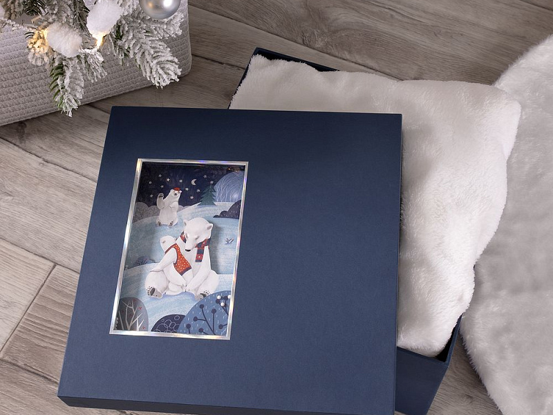 Коробка The Blue Bear, L