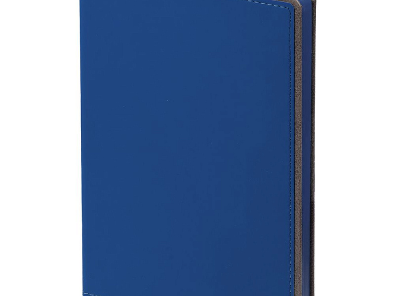 Ежедневник Frame, недатированный,синий с серым
