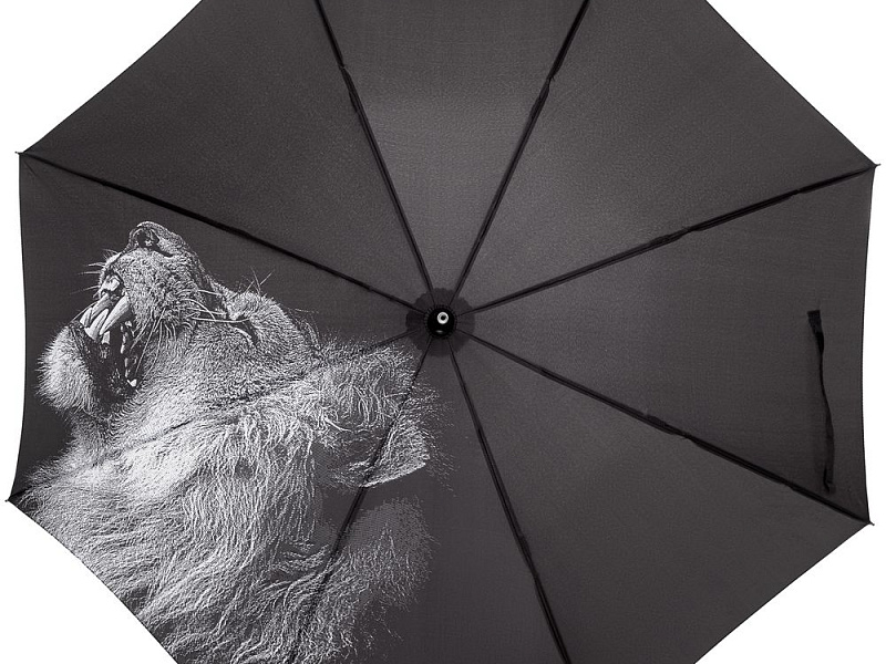 Зонт-трость Like a Lion