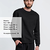 Свитшот унисекс Delta, черный