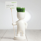 Набор для выращивания Funky Headman