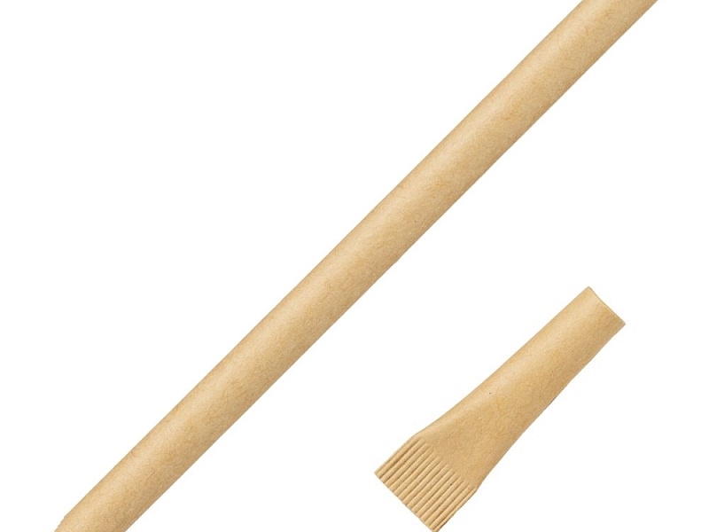 Ручка шариковая Carton Plus, неокрашенная