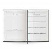 Ежедневник Anaconda, недатированный, серебристый