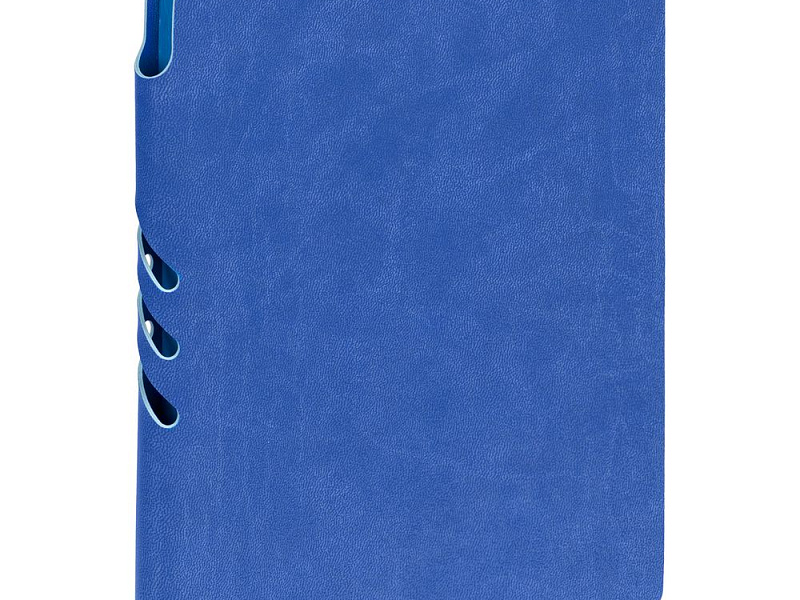 Ежедневник Flexpen Color, датированный, синий