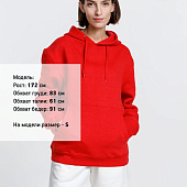 Худи унисекс Phoenix, красное