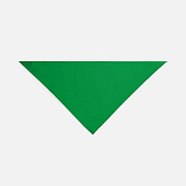 Шейный платок Bandana, ярко-зеленый