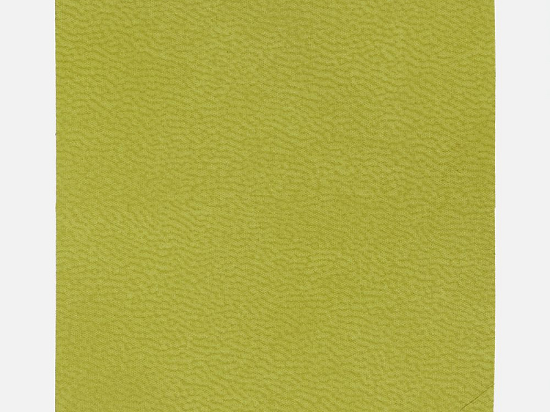 Лейбл Listra Latte, L, светло-зеленый