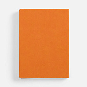 Ежедневник Basis, датированный, оранжевый
