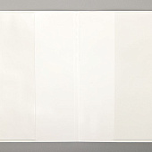 Обложка для паспорта на заказ Pase, ПВХ