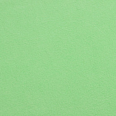 Флисовый плед Warm&Peace, светло-зеленый