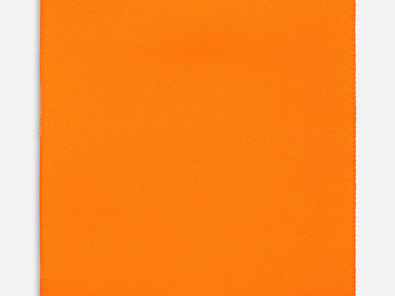 Лейбл тканевый Epsilon, L, оранжевый неон