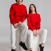 Свитшот унисекс BNC Inspire (Organic), красный