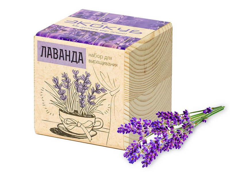 Набор для выращивания «Экокуб», лаванда
