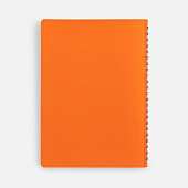 Ежедневник Spring Shall, недатированный, оранжевый