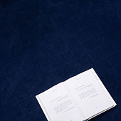 Плед для пикника Soft & Dry 2, синий