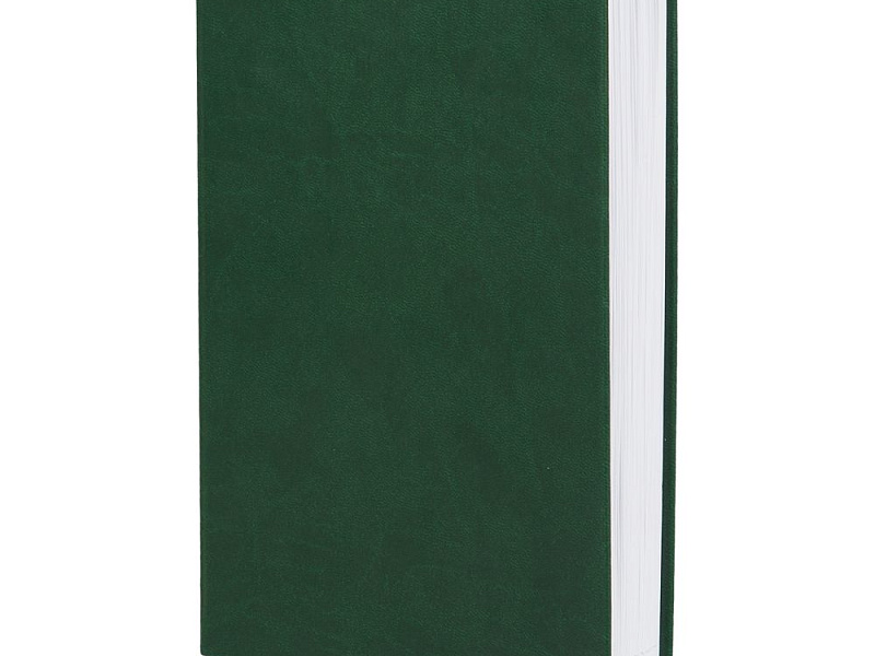 Ежедневник Basis, датированный, зеленый