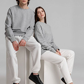 Свитшот унисекс BNC Inspire (Organic), серый меланж