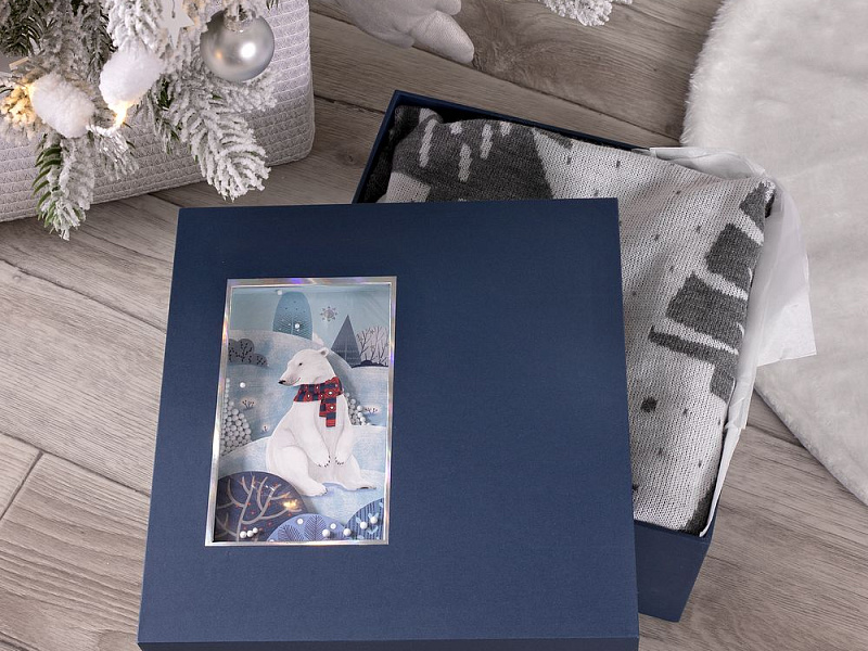 Коробка The Blue Bear, M