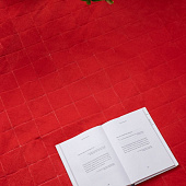 Плед для пикника Soft & Dry 2, красный