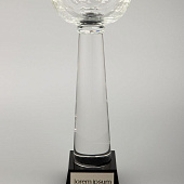 Кубок Cupture, большой