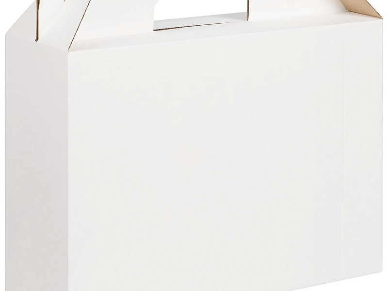 Коробка In Case L, белая