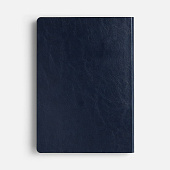 Ежедневник Doppio, недатированный, синий