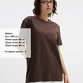 Футболка унисекс Regent 150, темно-коричневая (шоколад)