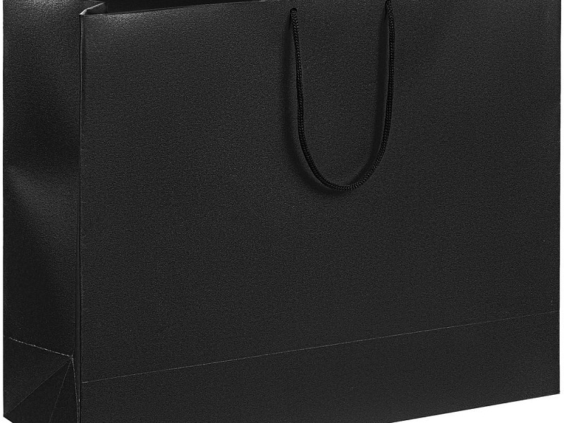 Пакет бумажный «Блеск», большой, черный